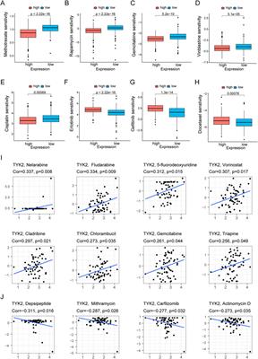 TYK2 correlates with immune infiltration: A prognostic marker for head and neck squamous cell carcinoma